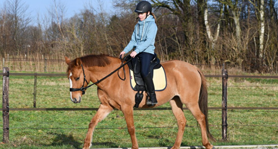 Ervaringen met Lemieux #3!